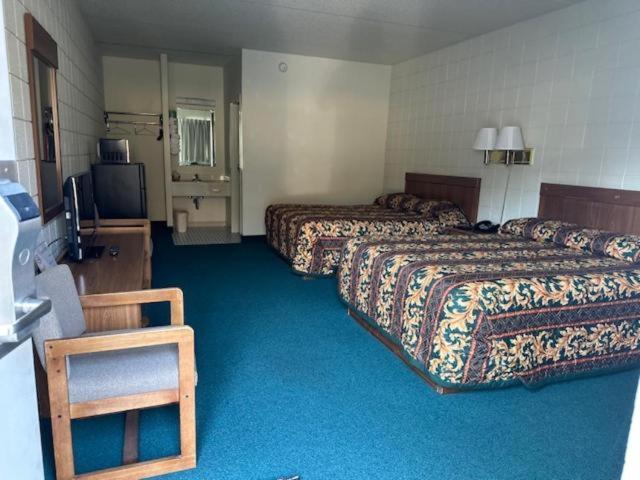 Oakridge Motel Newaygo Zewnętrze zdjęcie